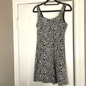 Express Fit and Flare Dress